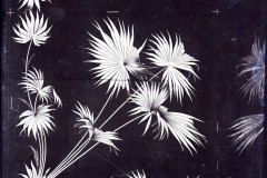 001-01-001_NEG
