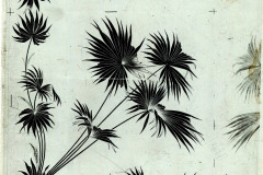 001-01-001_POS