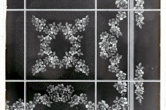 001-01-008_NEG