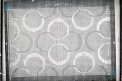 001-05-008_NEG