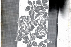 001-05-014_NEG