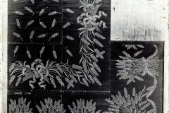001-11-006_NEG