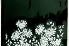 003-01-006_NEG