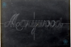 002-15-010_NEG
