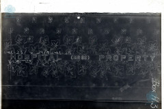 005-06-009_NEG