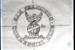 007-06-003_POS