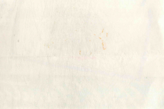 306-03-003